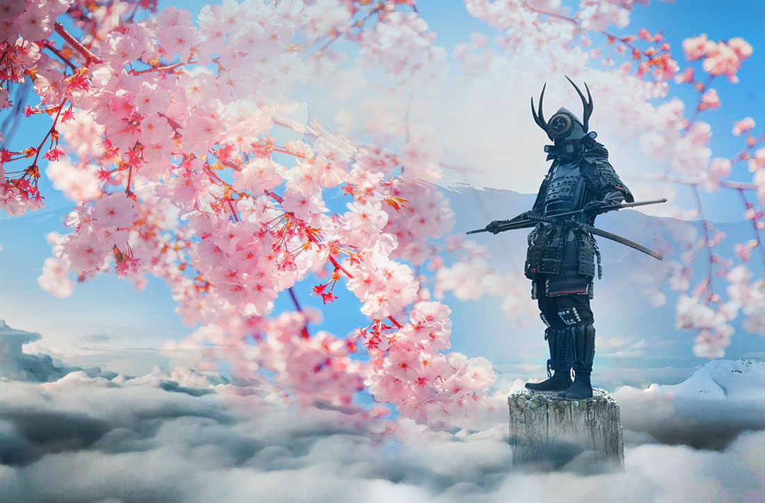 samurai sakura samurai-sakura